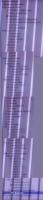 post-276140-1220116308_thumb.jpg