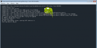 with the redownloaded but same version of chameleon and flags 2.PNG