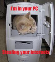 Lol-Cat-Im-in-your-PC-stealing-your-internets.jpg