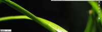 post-96958-1195184830_thumb.png