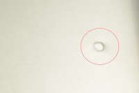 post-538112-0-99067600-1353112910_thumb.png