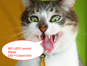gatto_pazzo_sfondi_divertenti.png