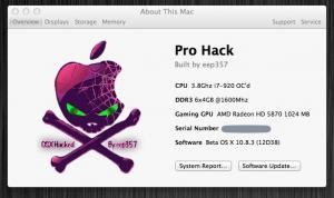 prohack.jpg