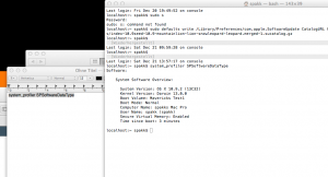 system_profiler SPSoftwareDataType.png