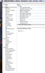 Merone_GILS_Voodoo_AppleHDA_2.png