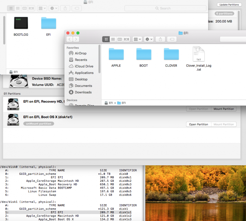 2nd EFI Folder.png