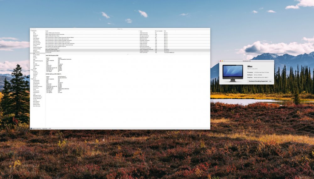 Screen Shot 2018-05-28 at 8.04.55 AM.jpg