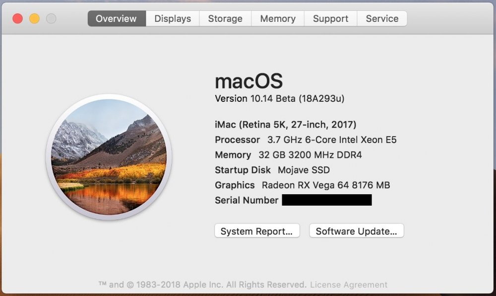 Screen Shot 2018-06-05 at 5.54.32 AM.png