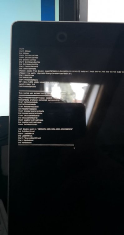 35416806_10214879434092696_9200389559479697408_n (2).jpg