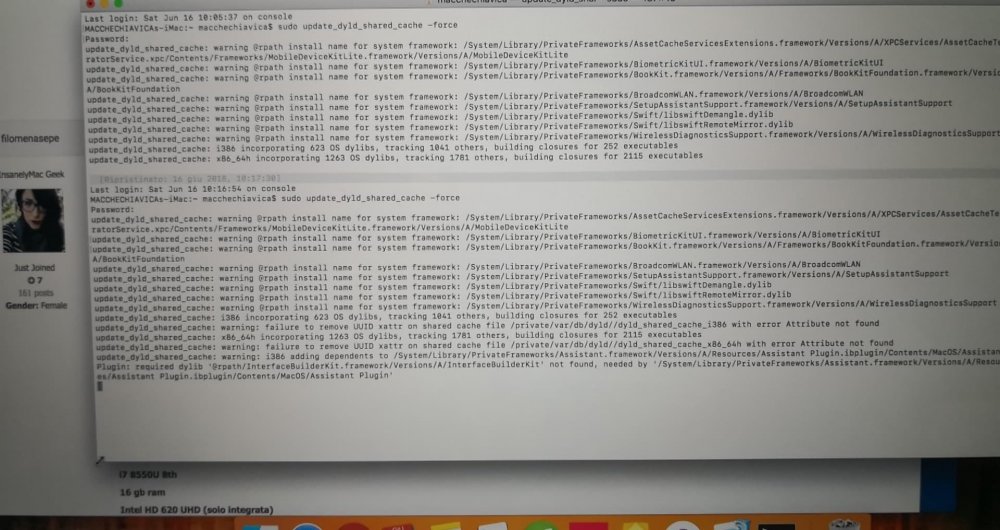 35527353_10214889729190067_6179033100723421184_n (3).jpg