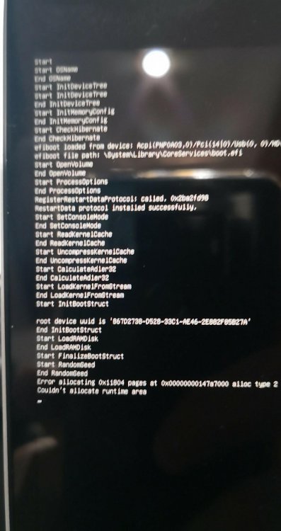 35236523_10214867183466438_2876140947303825408_n.jpg