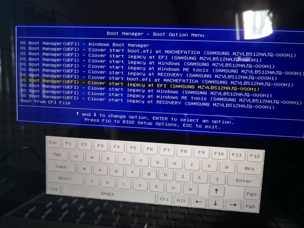 35298501_10214880883888940_4159598018548465664_n.jpg