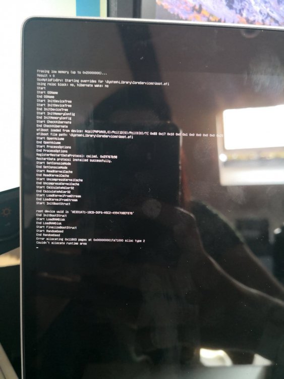 35389755_10214880844767962_3281844206624047104_n.jpg