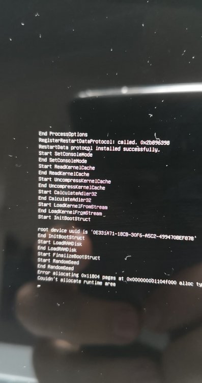 35425268_10214889523024913_5734262913368064000_n.jpg