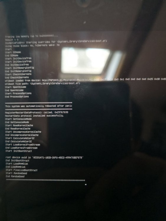 35426498_10214880402876915_4372662348146540544_n.jpg