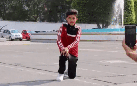 gif-cachorro-fotogenico.gif
