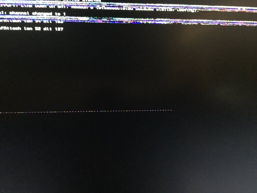 B4E07962-9F21-4D24-9B02-FB6629548CBB.jpeg