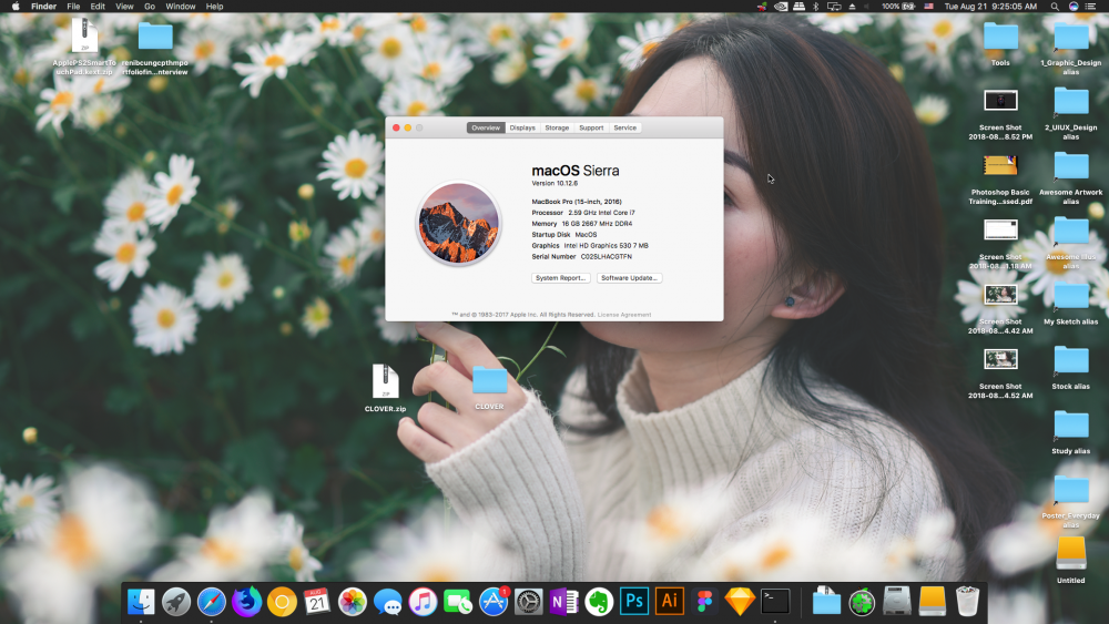 Screen Shot 2018-08-21 at 9.25.05 AM.png
