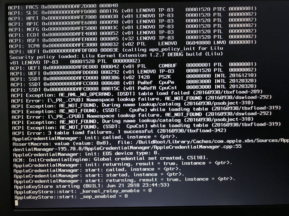 boot-with-DSDT1_52.thumb.JPG.ffca48f07bbb225fbd764cf867c25fba.JPG