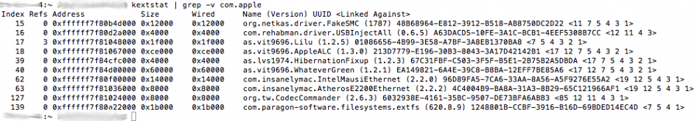 screenshot_terminal_kext_grep_20180917.png