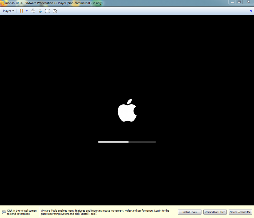VMware_Mojave4.thumb.png.0ba5e0c4adf4b9e672bbbdf6ebb674bd.png