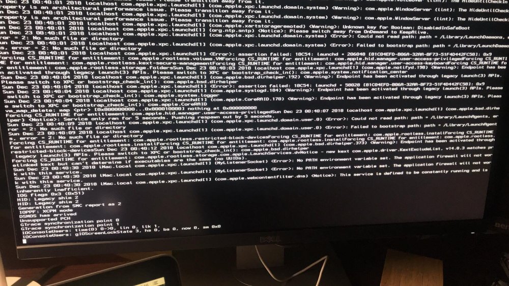 48413395_976872019175267_3431833149024239616_n.jpg