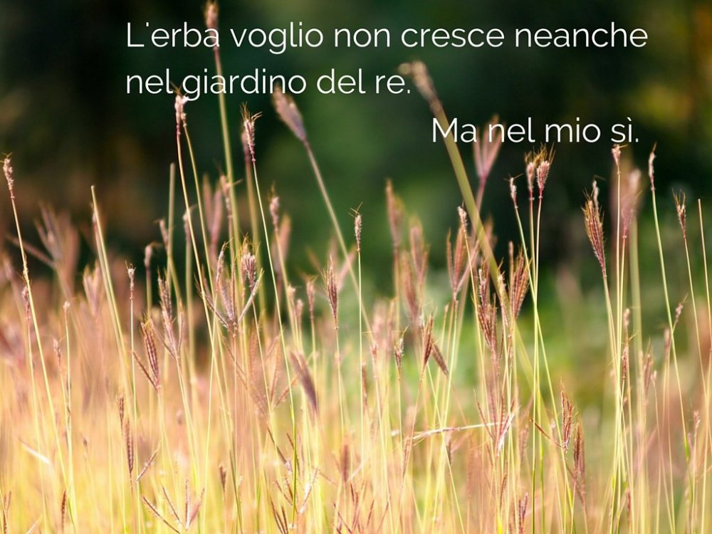 voglio.jpg