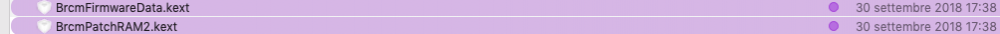 Schermata 2019-01-14 alle 12.54.40.png