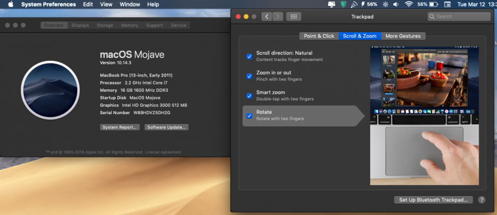 Screen Shot 2019-03-12 at 13.31.12.png
