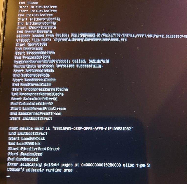 runtime_area.jpg