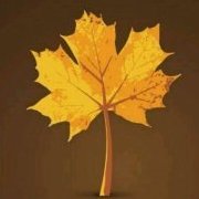 maple2018