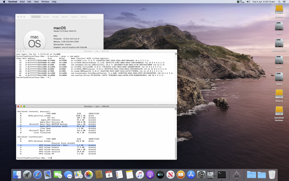 804488529_Catalina10_15.0beta_19A471tonNUC6i5SYH.thumb.png.408ff31b068a9af40ed9cb2149cdaf1a.png