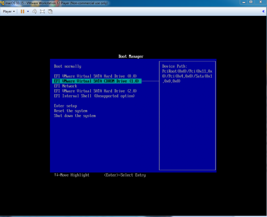 353694113_VMwareBIOSscreenchoosetobootVirtualCDROM.thumb.png.bf70f70450ef3dd9be0fb3e4acfd1142.png