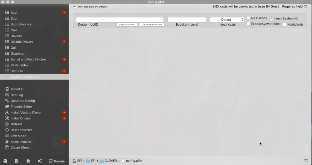 config.plist-System Parameters.png