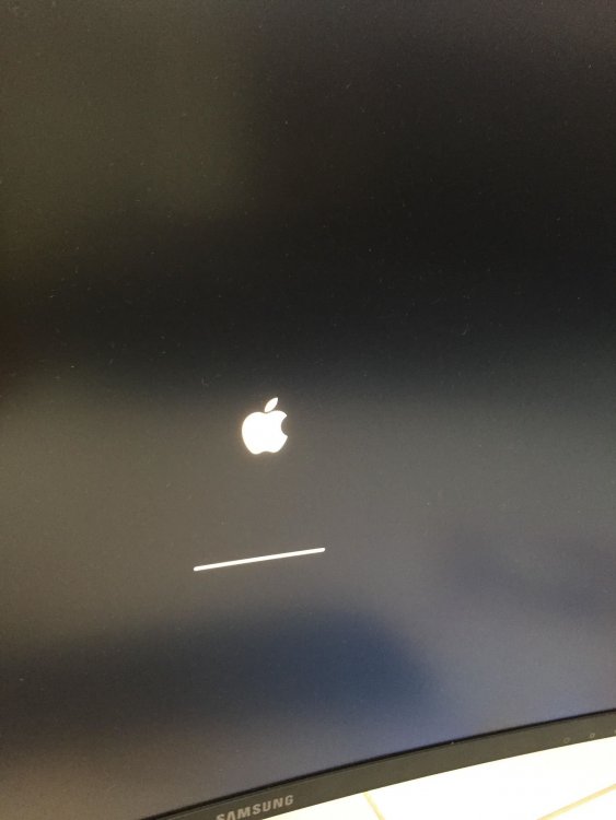 68952271_701171363629093_778245776227696640_n.jpg