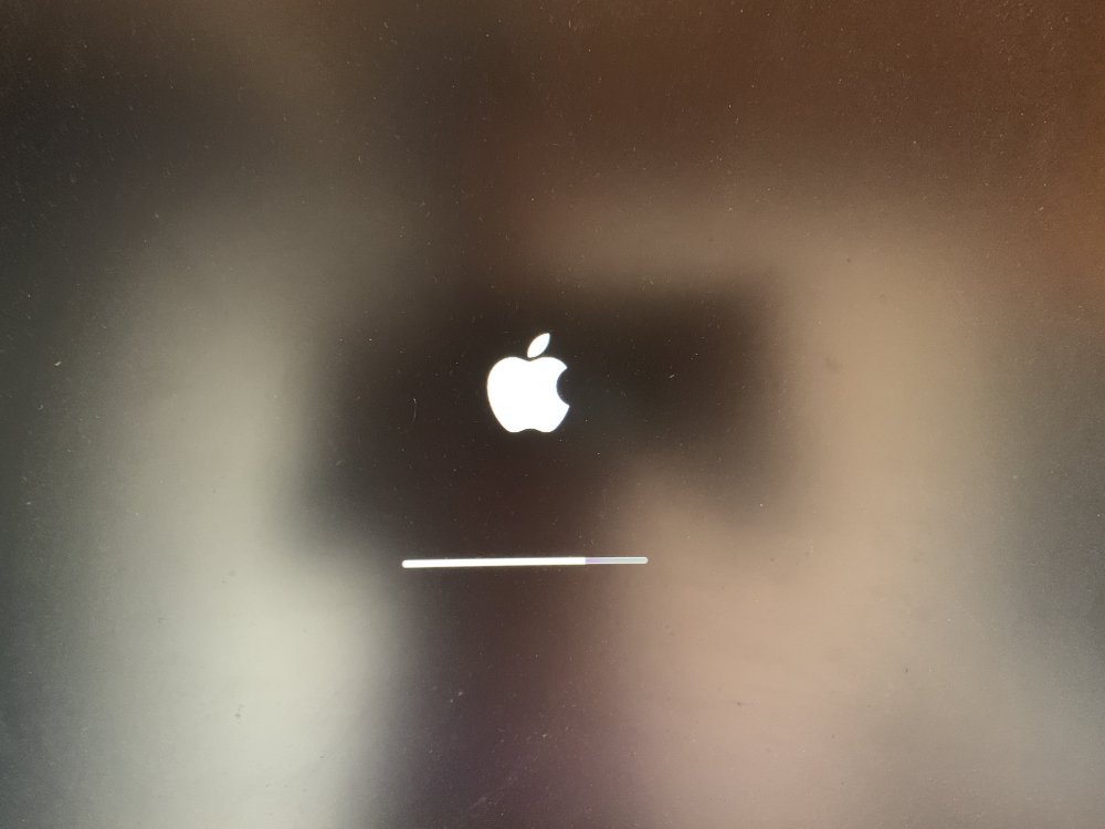 6643AFAD-1F22-41B7-9E3E-3E451E8446AC.thumb.jpeg.db71dcbf78776c91e817645f92bdc838.jpeg