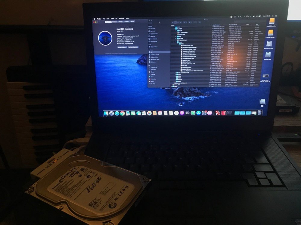 catalina usb.jpeg