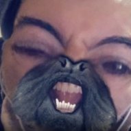 britishboxer
