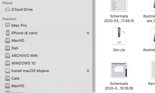 Schermata 2020-03-31 alle 17.40.06.png