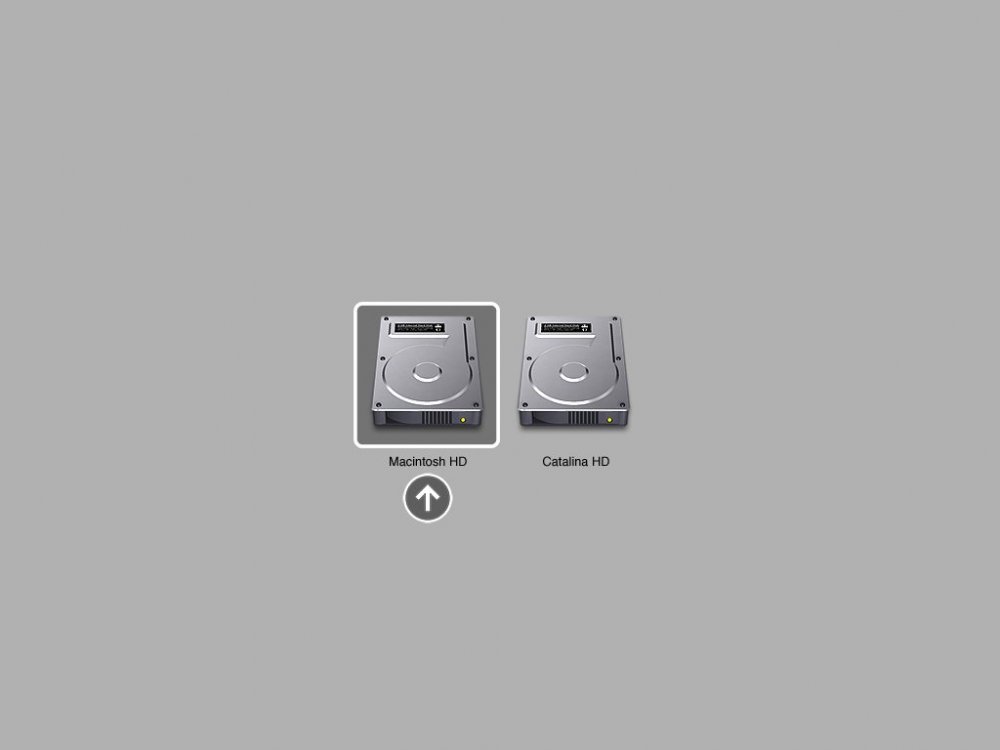 Apple_EFI_Boot.thumb.jpg.e829ec904c5059b5e951843ff1863c30.jpg