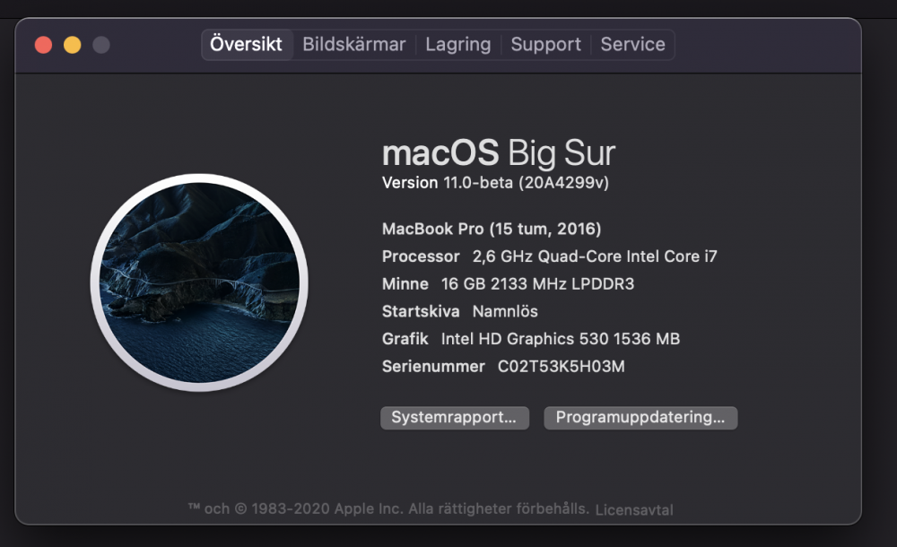 aboutmymac.thumb.png.dd51746ad04a698532bbf7034f30dcbe.png