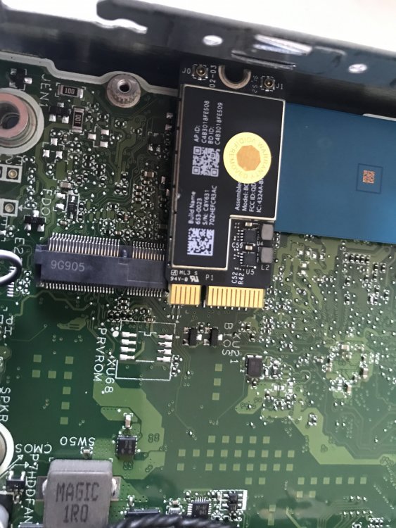 1200472319_IMG_10352.thumb.JPG.44ede9e414954673780c6bb9f6c4a8e3.JPG
