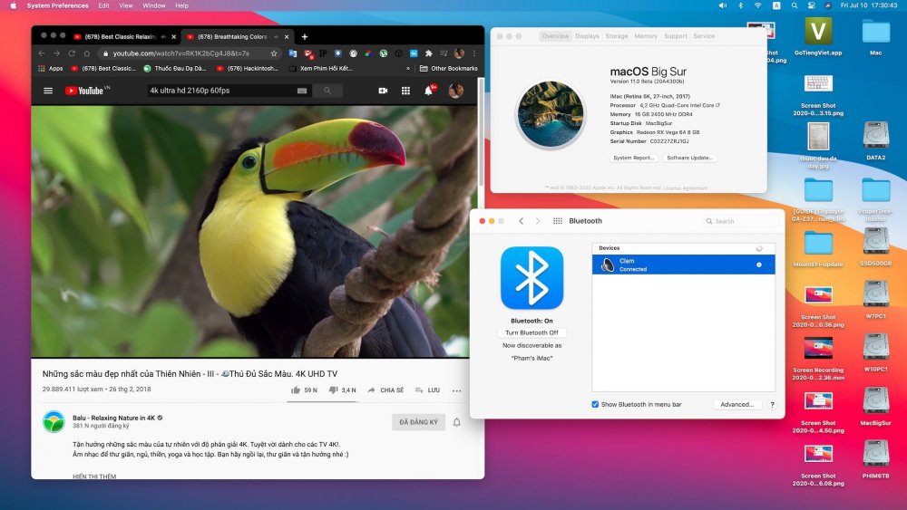 Screen Shot 2020-07-10 at 17.30.43.jpg