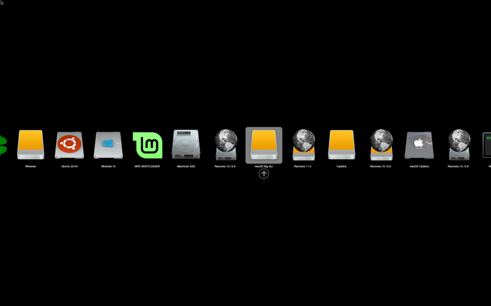 2019661884_OCGUIchoosemacOSBigSur.thumb.png.34ba88cae876362f304399f357e065fd.png