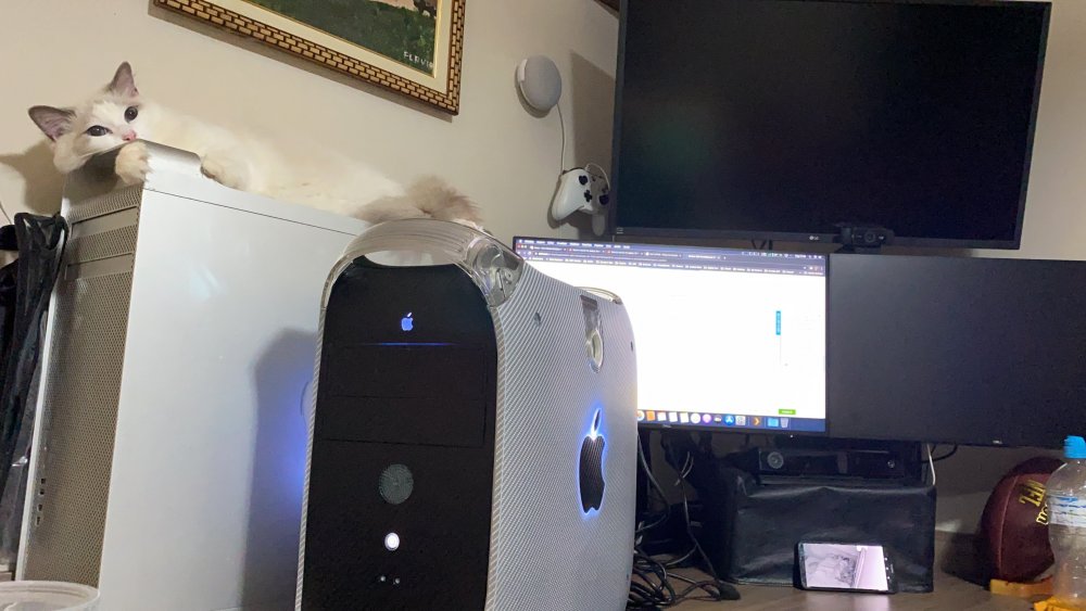 1660323964_2020-08-18(1).thumb.jpeg.d10dc81e6ddf9b016ee796a9df17b561.jpeg
