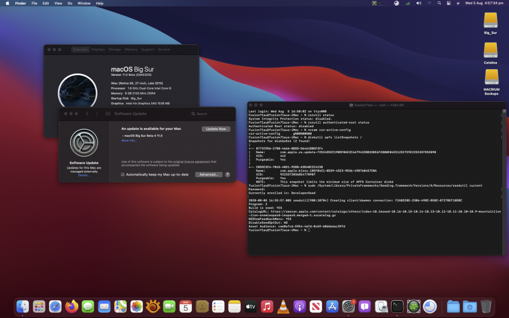 288807596_Beta4OTAsnapshotsenabled.thumb.png.9bac58fa382707b67320429c9ef798af.png