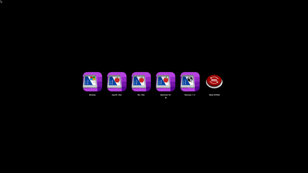 31081252.png