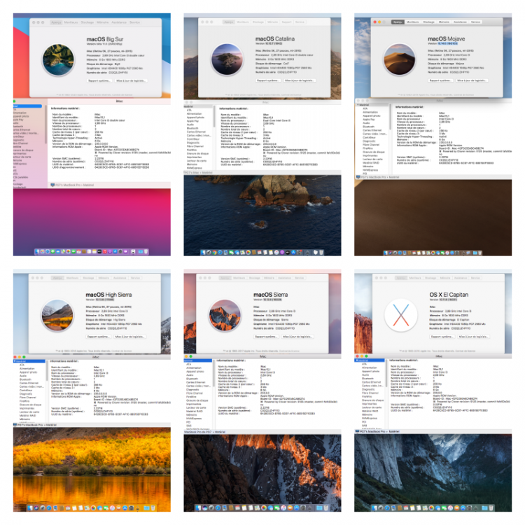 collage.thumb.png.1d62c9108d227be2f2dcd81ea96ceb52.png