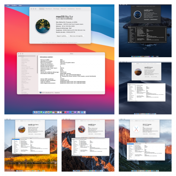 collage.thumb.png.73c3080de1430887295c771aa1cac276.png