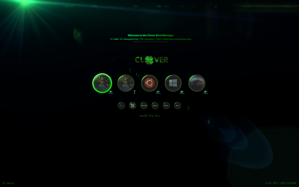 custom_entry1.thumb.png.5188717d984f77b07a25c5f020407da4.png